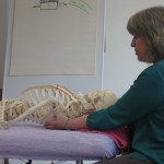 Teaching with Charlie | Acupuncture | Zero Balancing | Cambridge | Tree of Life Therapy | Rosanna Price